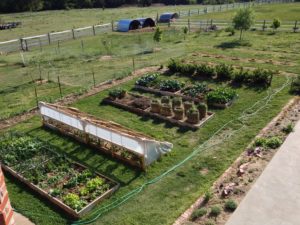 Figure 1. The Garden, The Goat Shed and Young Fruit Trees