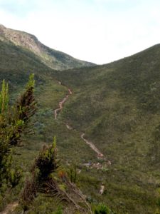 Hike to Shira Camp