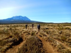 Hike to Moir Camp