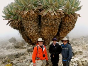 Hike to Barranco Camp