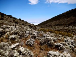 Hike to Karanga Camp