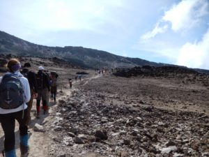 Hike to Barafu Camp